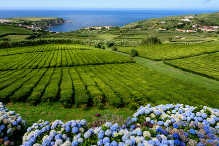 acores-combinado-sao-miguel-faial-partida-de-lisboa_0.jpg