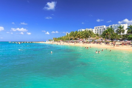 jamaica-essence_1.jpg