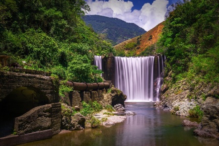 jamaica-essence_3.jpg