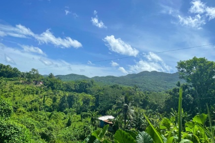 jamaica-honeymoon_1.jpg