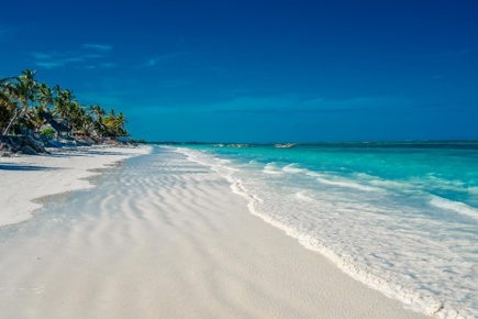 safari-de-2-dias1-noite-em-selous-e-estadia-em-zanzibar-essence_3.jpg