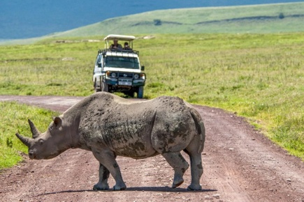 safari-de-3-dias2-noites-no-serengeti-e-ngorongoro-e-estadia-em-zanzibar-essence_2.jpg