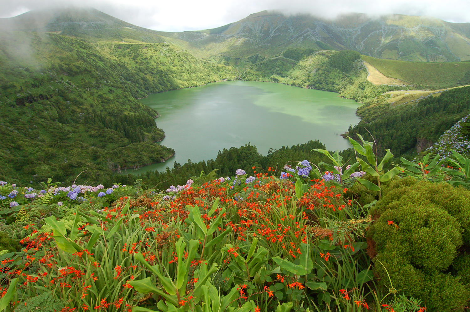 Faial (9)