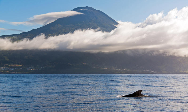 Açores (3)