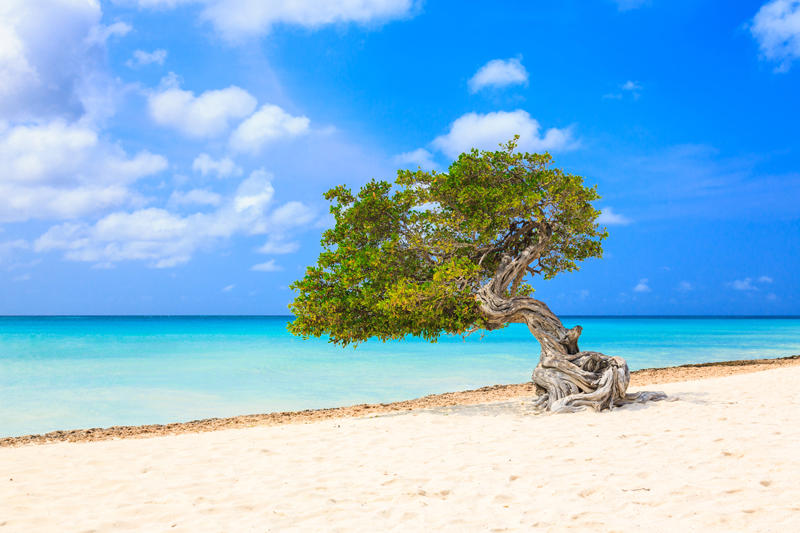 AdobeStock_125026691